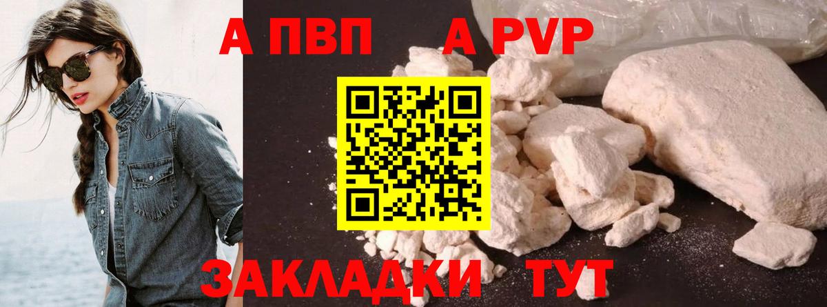 Alfa_PVP СК Урус-Мартан