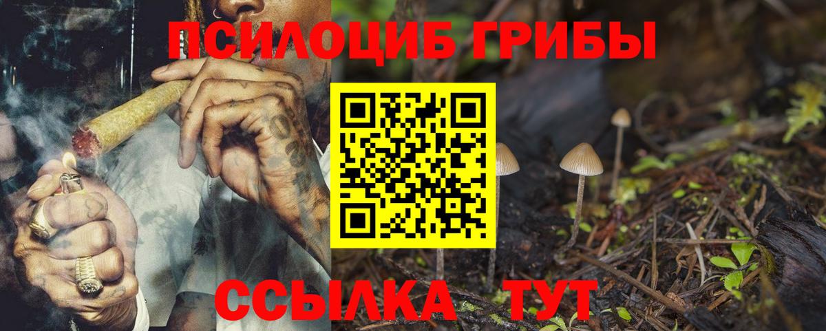 Псилоцибиновые грибы мухоморы Урус-Мартан