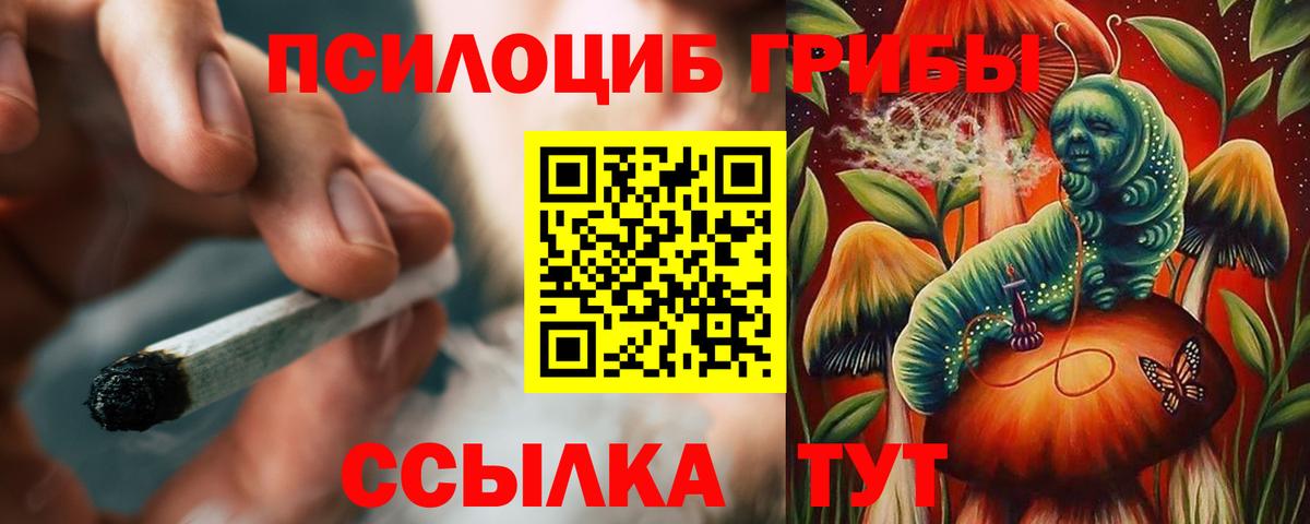 Псилоцибиновые грибы Magic Shrooms  дарнет шоп  Вход с VPN  Урус-Мартан  Галлюциногенные грибы ЛСД 